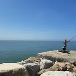 House 부아르코스