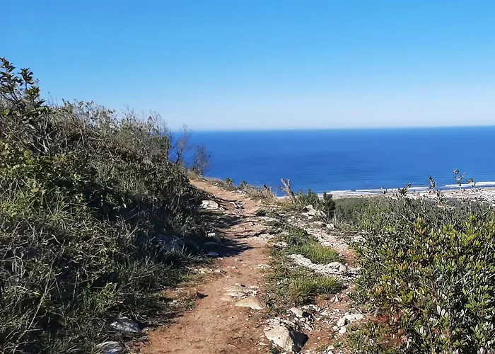 House * Буаркуш