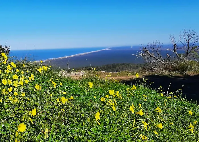 House Апартаменты Буаркуш