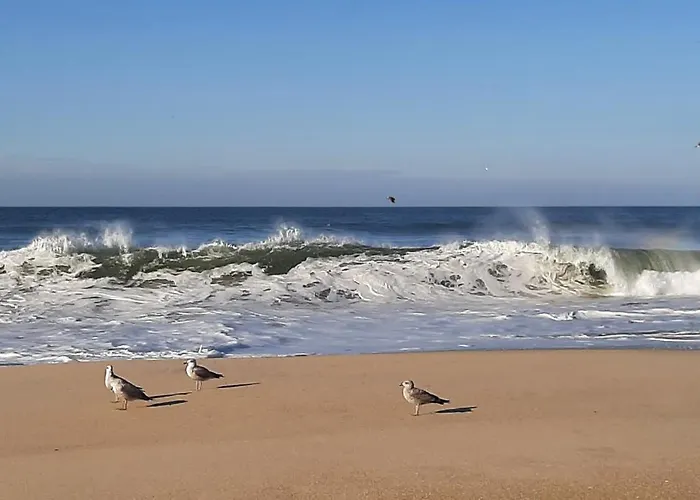 House * Буаркуш