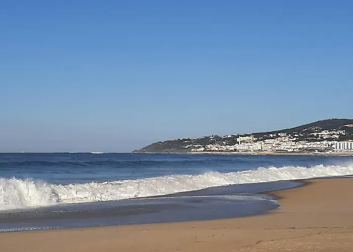 House * Буаркуш